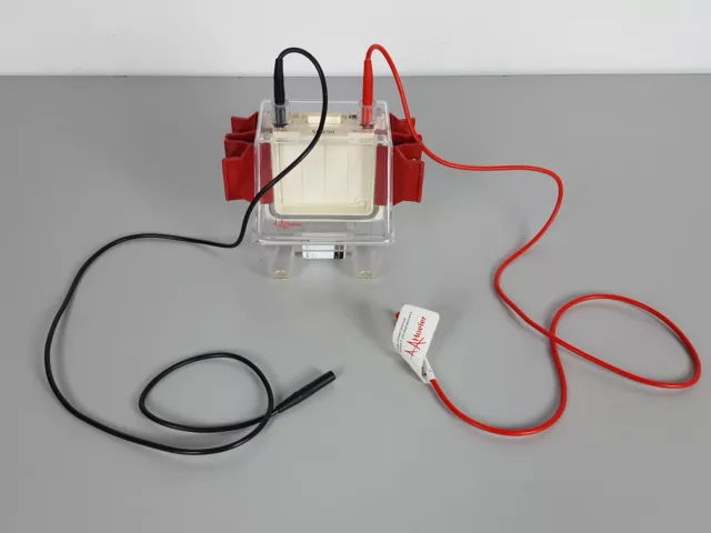 Hoefer Mighty Small II Mini Vertical Electrophoresis Systems Lab