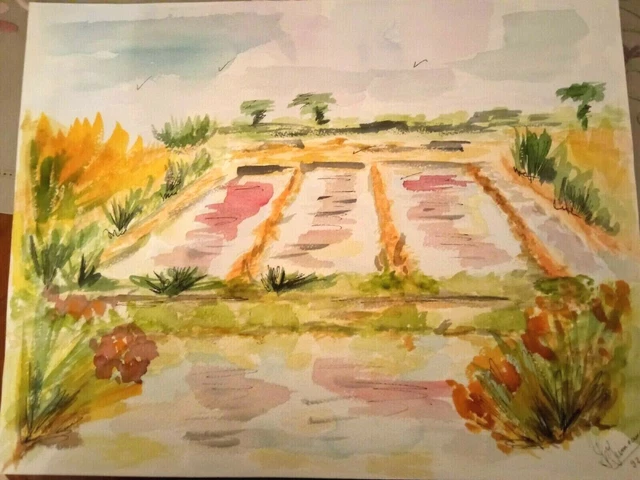 Aquarelle Ile De Re Les Marais  Art Tableau Peinture  Paris Jumeaux Jean Pierre