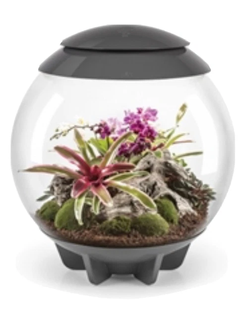 Biorb Air 60L Grey Terrarium Tank Led Lighting Heated Tropical Plants Reptile