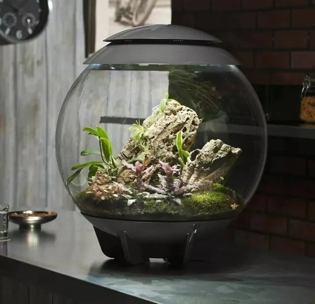 Biorb Air 60L Grey Terrarium Tank Led Lighting Heated Tropical Plants Reptile 6
