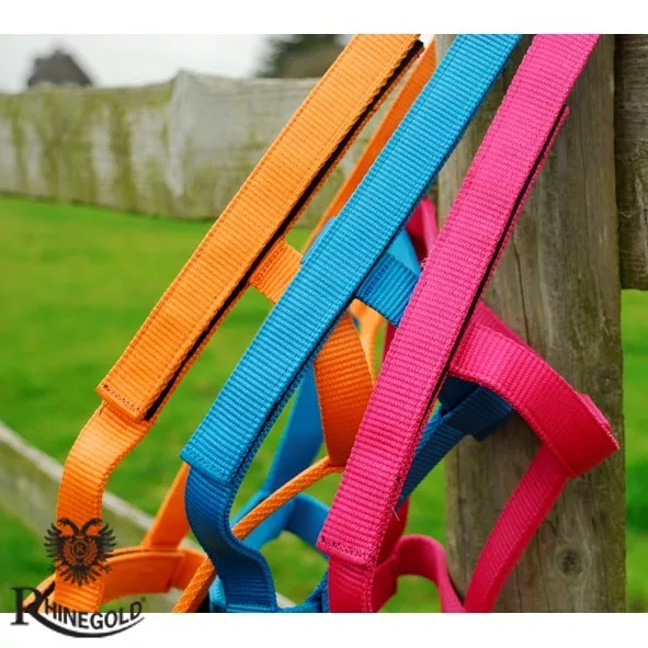 Rhinegold (Metal Free) Field Safe Foal Headcollar  4 Colours  May Fit Small Pony