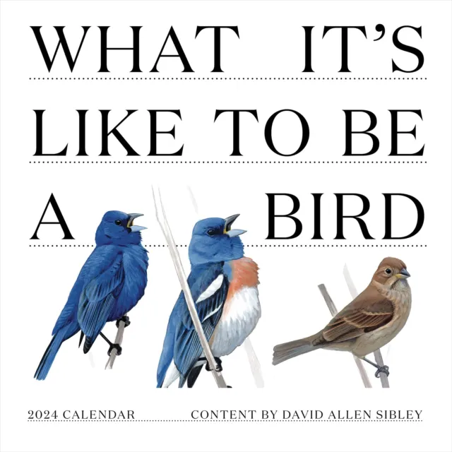 TF PUBLISHING 2024 What It's Like to Be a Bird Wall Calendar | Large Grids fo...