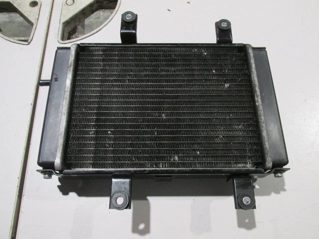 RADIATEUR (SYM  125 Gts I Evo - 84211,03)