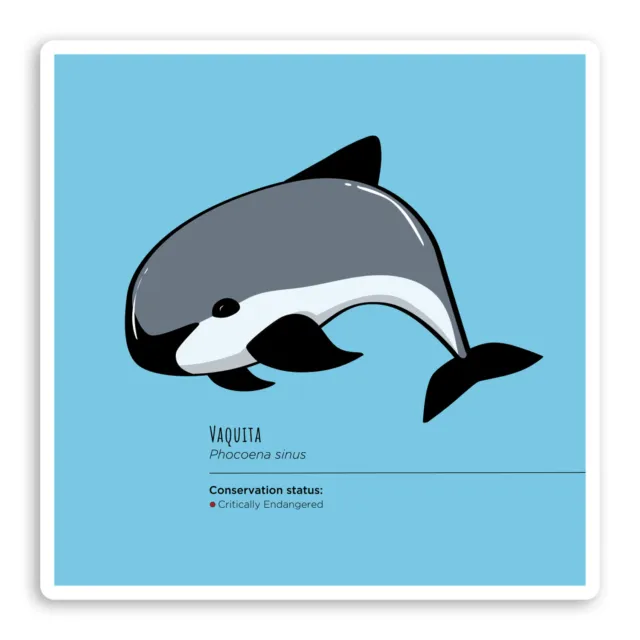 2 x 10cm Vaquita Porpoise Vinyl Stickers - Dolphin Marine Life Sticker #30051