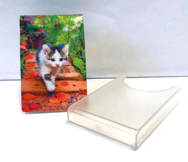 Le Pocket Glashandtuch Chiffon de Nettoyage Lunettes en Microfibres pour Chat