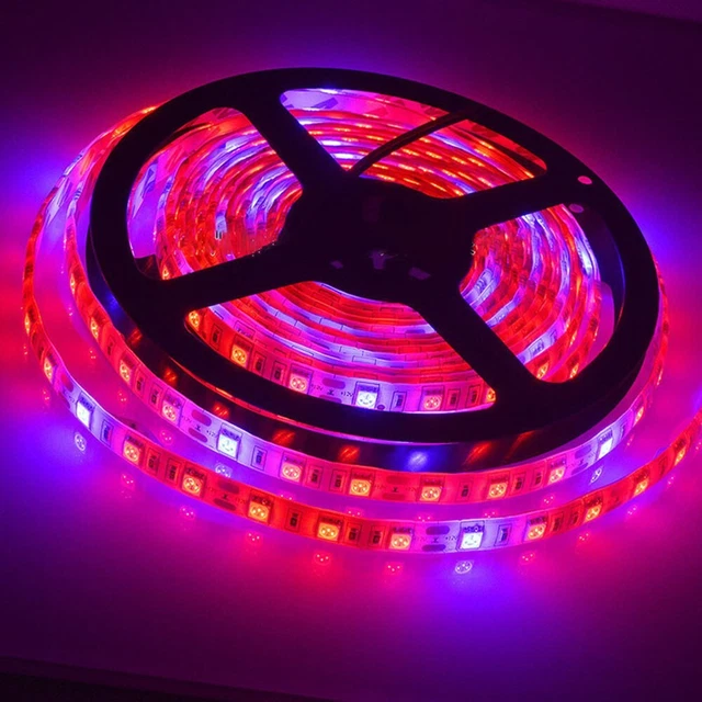 Whiteboard Color 300 LED Grow Light for Plant Veg Flower High Light Absorption