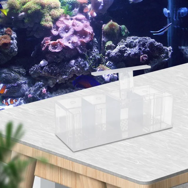 LED Light Aquarium Acrylic 4 Grids Betta Fish Tank Isolation Box with Pump US 12