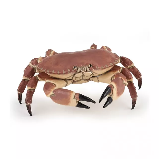56047 Crabe - PAPO - NEUF