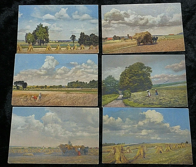 54790 Photochromie Ak 6 Cartes Postales Récolte Motifs Série 265 Numéro 4166