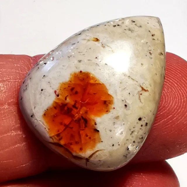 Opale de feu du Mexique Cantera orange 13,45 cts pierre précieuse de collection
