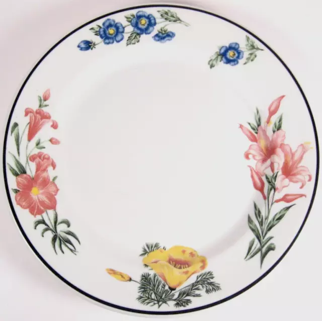 SOUTHERN PACIFIC Prairie Mountain Wildflowers   9" DINNER PLATE Shenango FULL BS