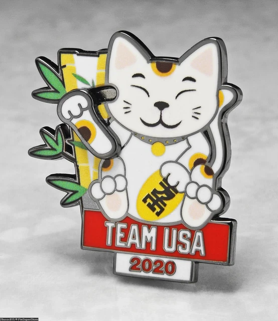 OLYMPIC PINS BADGE 2024 Paris Tokyo 2020 HELLO KITTY CAT TEAM USA USOC