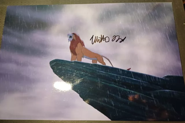 matthew broderick SIMBA reclaims his kingdom and roars to all signed 12x8 photo