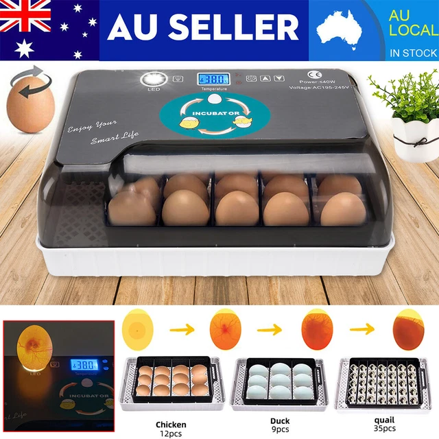 12 EGG INCUBATOR Digital Fully Automatic Turning Hatcher LED Egg ...