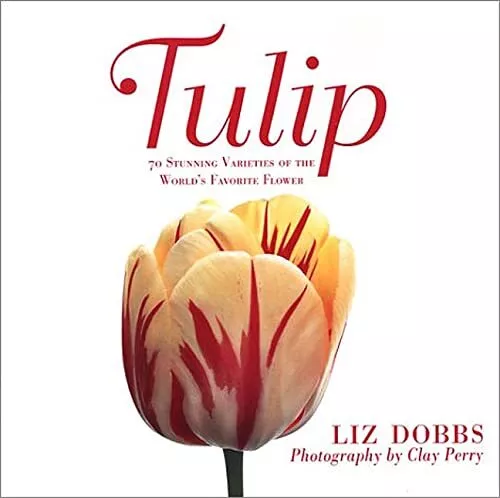 Tulip: 70 Stunning Varieties of the World's Favorite ... by Perry, Clay Hardback