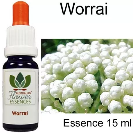 WORRAI Australian Flower Essences fiori cespuglio