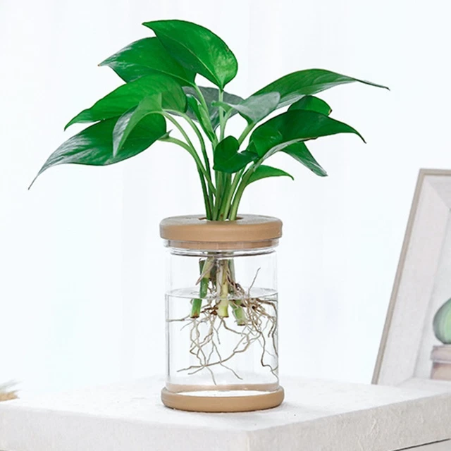 Pratico vaso per piante vaso per animali domestici vaso idroponico per fiori piante plastica 2 pz 7