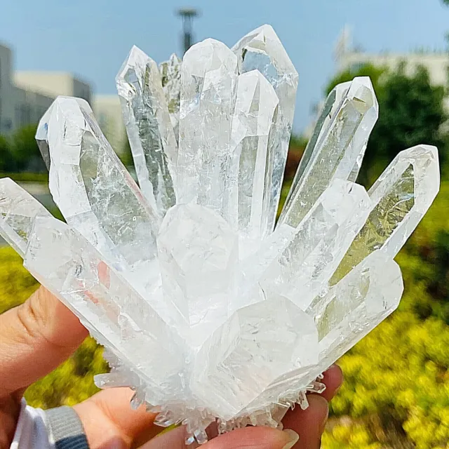 480g New Find white Phantom Quartz Crystal Cluster Mineral Specimen Healing 3