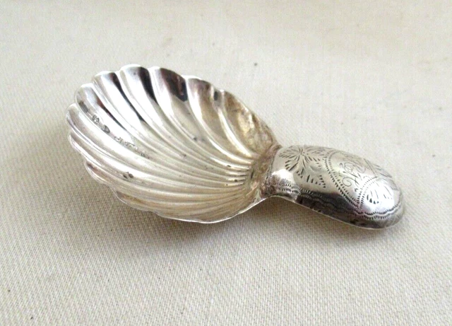 Solid Silver - OLD ENGLISH & SHELL CADDY SPOON - Hallmarked:-Sheffield 1817