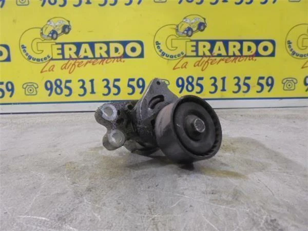 Galet Tendeur Courroie Accessoire Peugeot 206 (1998->) 1.4 16V Kfu (Et3J4)  9652
