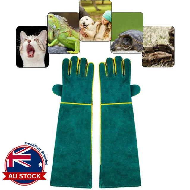 Animal Training Handling Anti Bite Proof Scratch Gloves Pet Dog Cat Bird Snake J