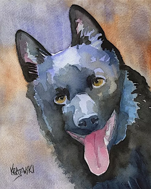 Schipperke Art Print Signed by Artist Ron Krajewski Painting 8x10 