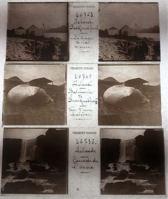 ISLANDE POLO 3 PLAQUES VERASCOPE RICHARD VERRE VUES STEREOSCOPIQUES 45x107