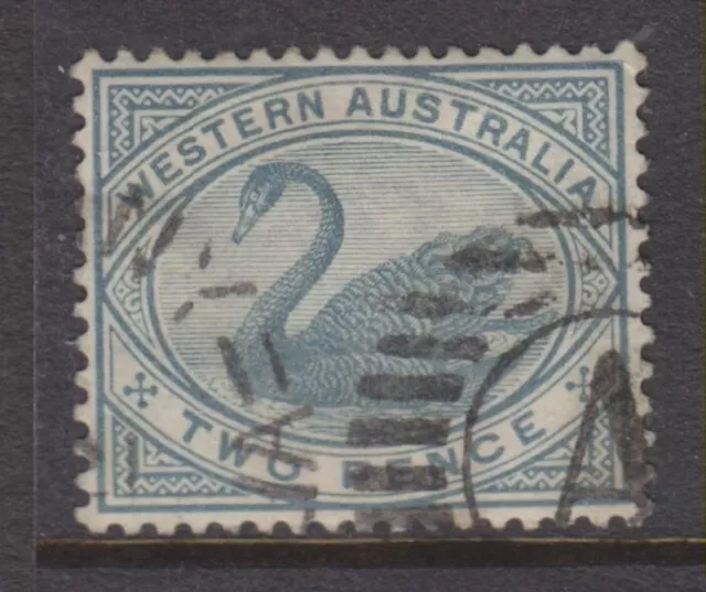 1885-1893 - WESTERN AUSTRALIA -2d. BLUEISH-GREY SWAN - P14 - SG 96 - W767