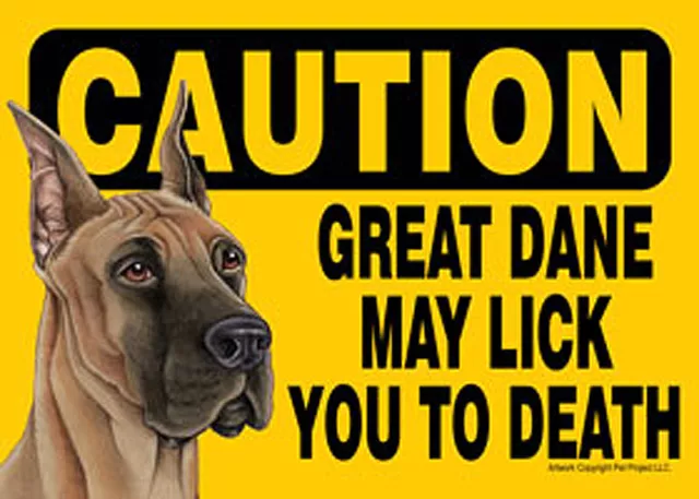 Gran Danés Caution Puede Lick You A Muerte Perro Signo Imán Insignia Cierre