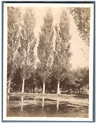 France, Bois de Vincennes, Petit Lac de Nogent  Vintage albumen print  Tirag