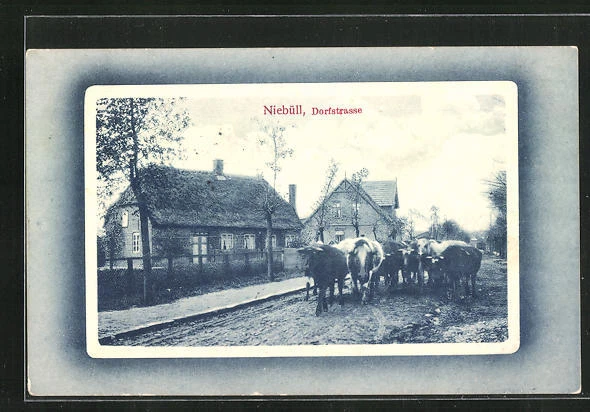 AK Niebüll, Dorfstraße mit Kühen 1917