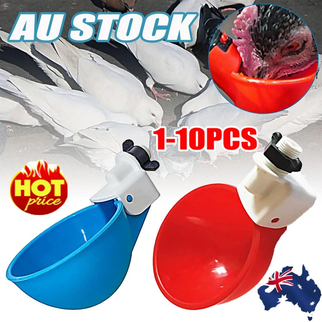 1-10pcs Automatic Water Cups Poultry Drinker Waterer Chicken Duck Quail Drinking