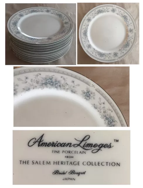 VINTAGE American Limoges Dinnerware BRIDAL BOUQUET Salem Collection 10-PC Set