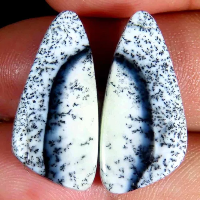 16.90Cts. 100%Natural Designer Dendrite Opal Fancy Pair Cab 11x24x4mm Top Gems