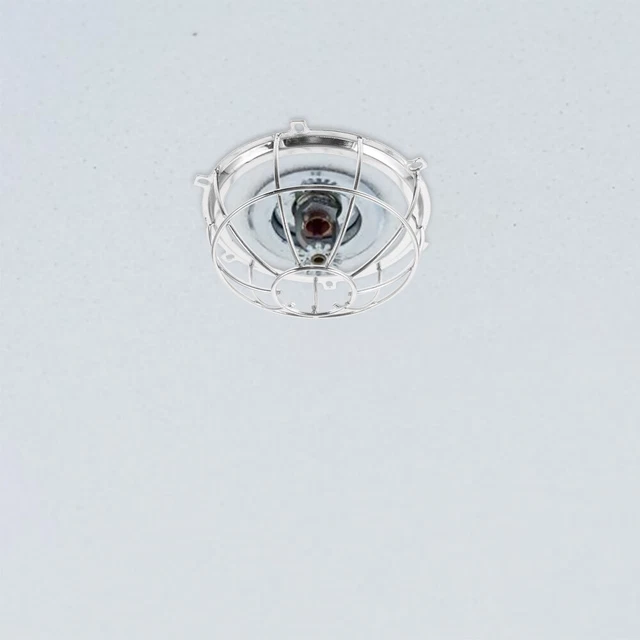 Protezione testa acciaio inossidabile per irrigatore guardia albero coperture irrigatore