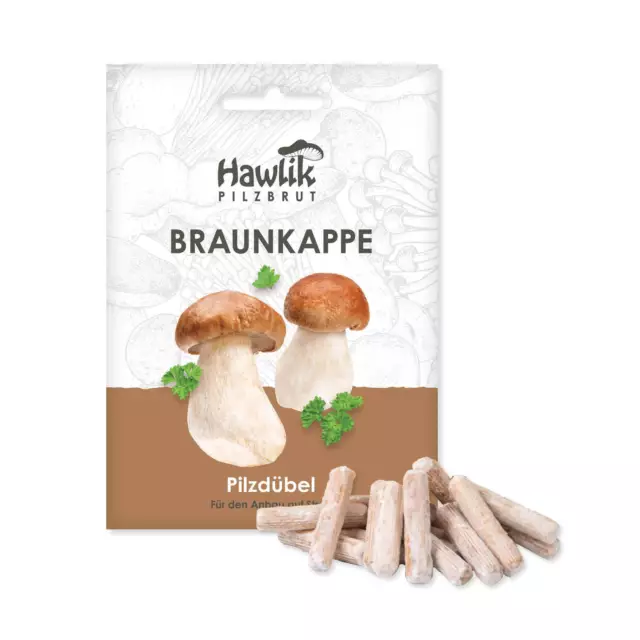 Braunkappe Dübel, Pilze selber züchten, Pilzzucht, Pilzbrut.de, Hawlik, Substrat
