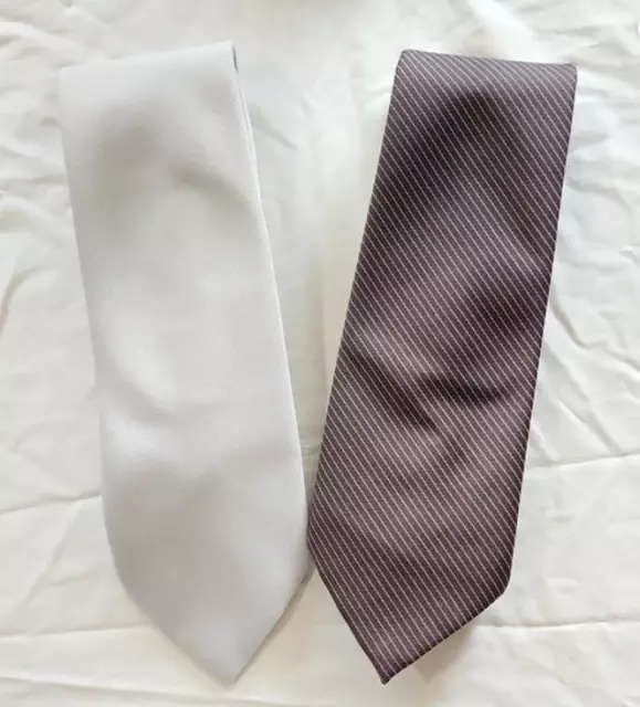 Vintage Mens Ties from Wembley, Lot of 2, Silver and Brown, 4" wide, EX