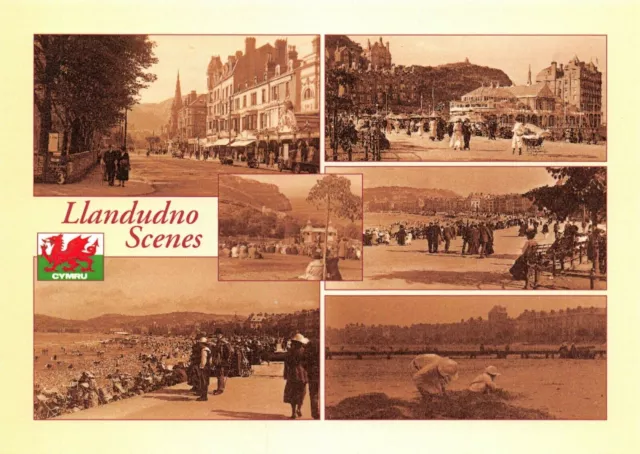 NEW Postcard, Vintage Llandudno Scenes Multi View by Judges 40T