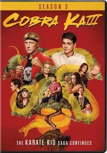 New Cobra Kai Season 3 (DVD)