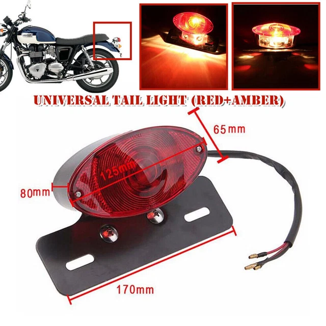 MODIFIED MOTORCYCLE REAR Brake Tail Turn Signal License Plate