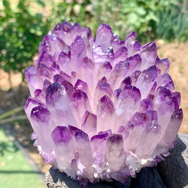 2LB New Find  purple Phantom Quartz Crystal Cluster Mineral Specimen Healing 3