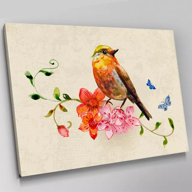 A469 Red Robin Bird Flower Sketch Canvas Wall Art Animal Picture Large Print