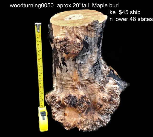 Burl de arce | torneado de madera | tronco de burla | hágalo usted mismo artesanía en madera | torneado de madera0060