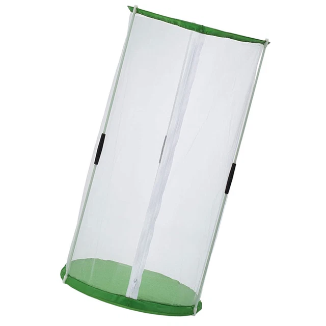 Breeding Container Visible Cage Outdoor Butterflies Incubator