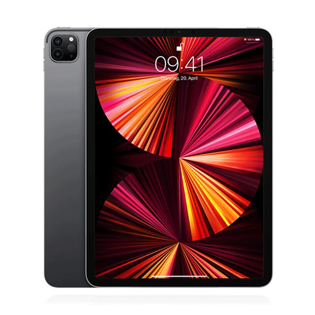 Apple iPad Pro 11 (2021) 256GB WiFi Space Grau TOP MwSt nicht ausweisbar