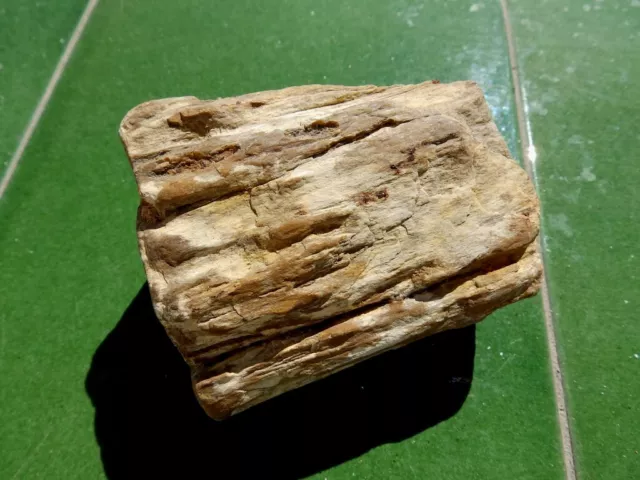 Fosiles Holf " Extraordinaria Madera Petrificada De Angola  -  3C19  ".