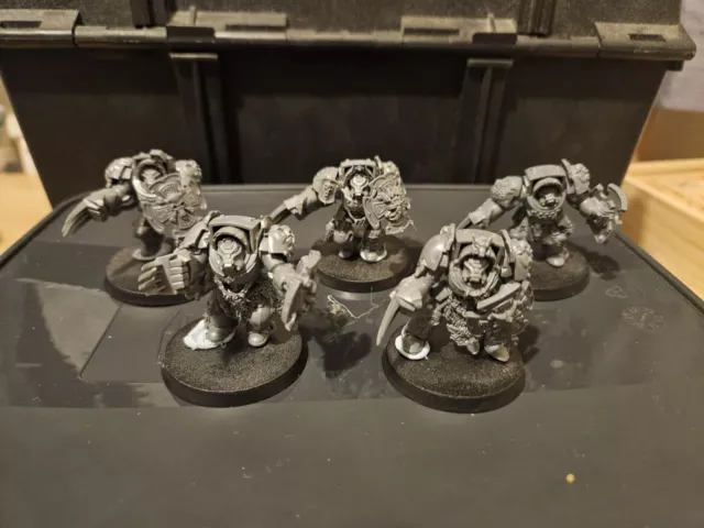 Space Wolves Wolf Guard Terminators, 5 Models, Good Condition