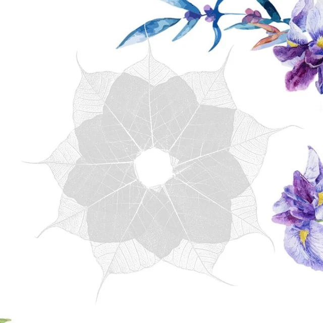 Hojas de bambú para proyecto de artesanía esqueleto dejadas artesanía decoración hoja