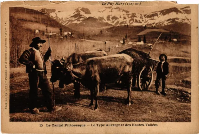CPA Le Type Auvergnat des Hautes-VALLÉES - Le Cantal Pittoresque (480429)