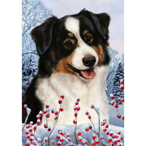 Winter House Flag - Tri Australian Shepherd 15353